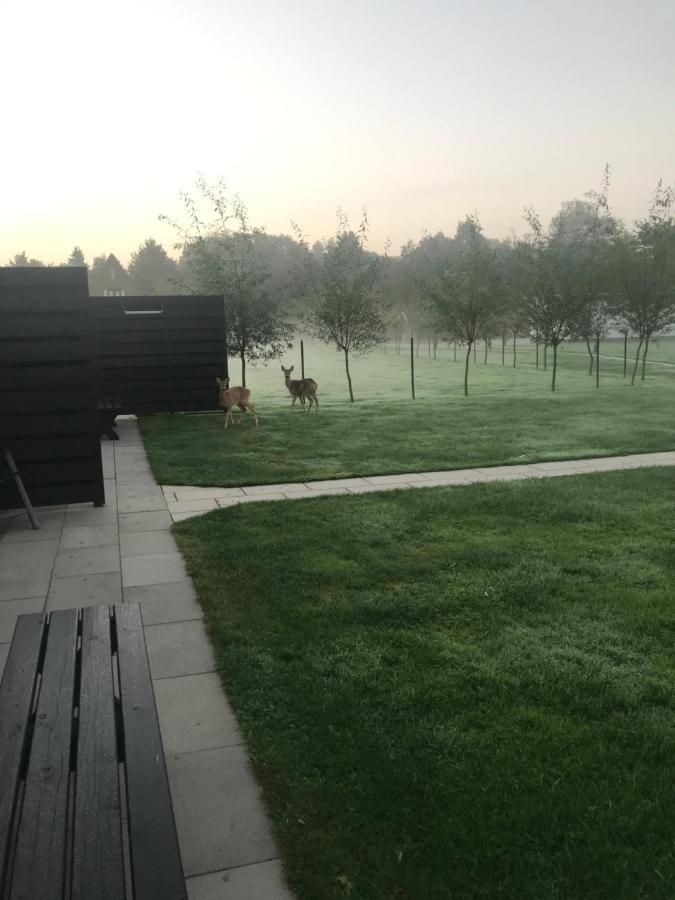 B&B Beach&Bos Oostvoorne Exterior foto